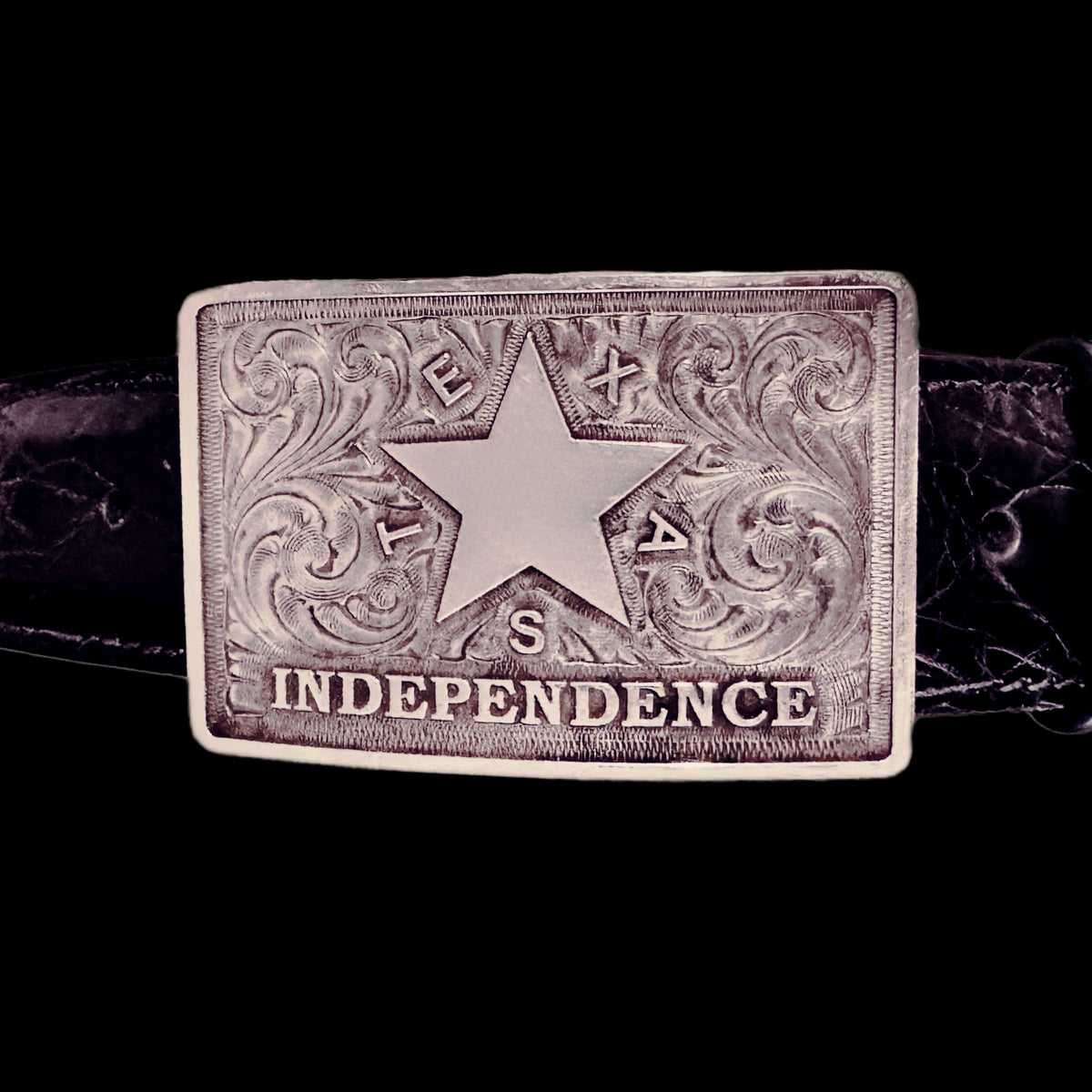 Texas Independence (TEXIT)