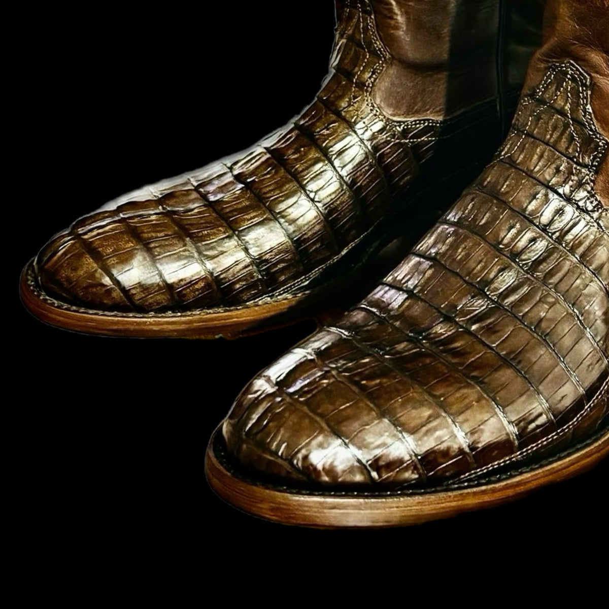 Gonzales (in Brown)