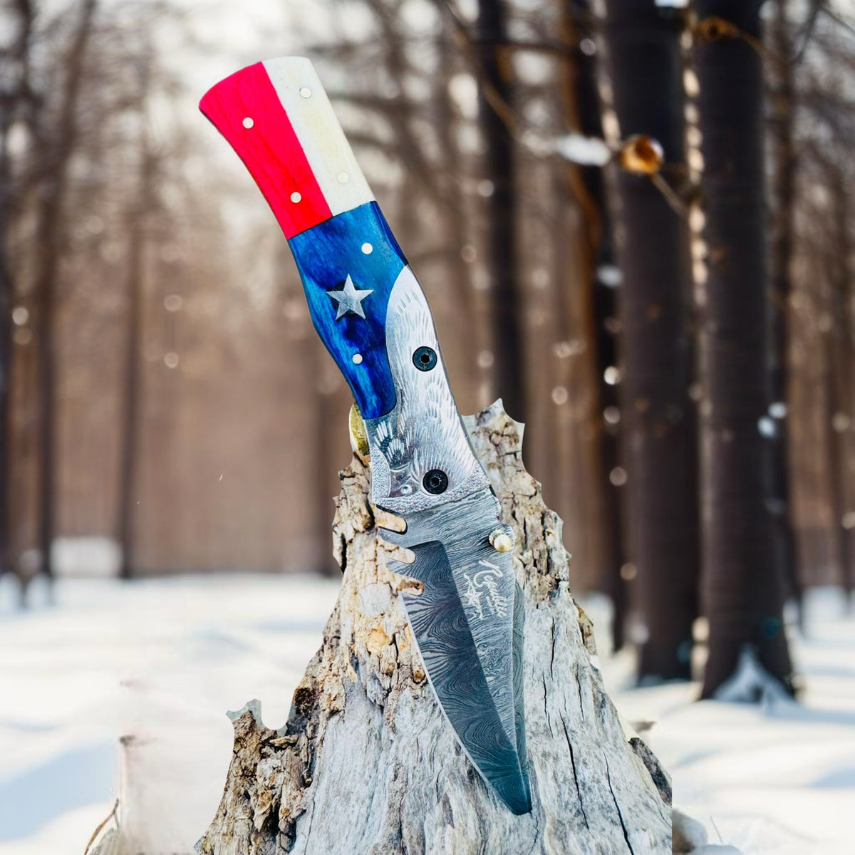 Texas Eagle Flip-Open Knife