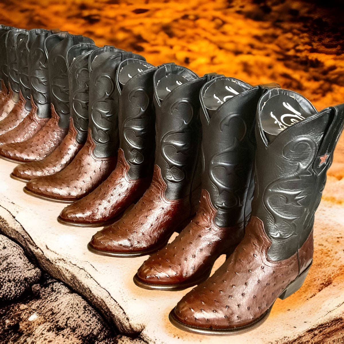 Texian