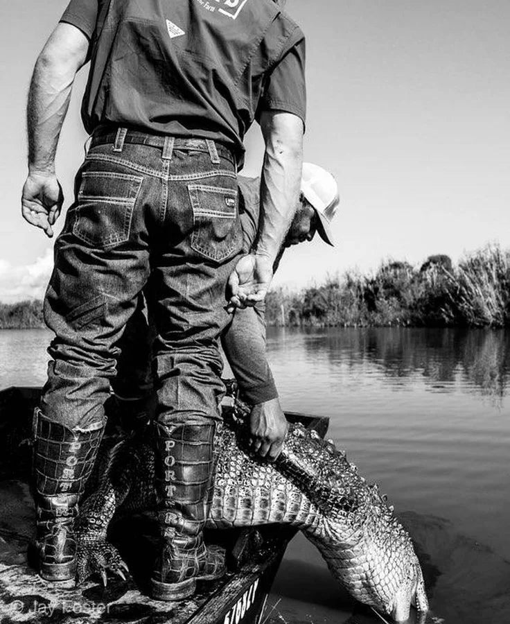 Gator hunts