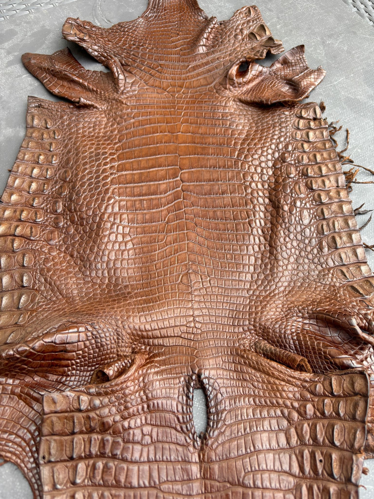 Full Moreletii Croc (Made to Order)