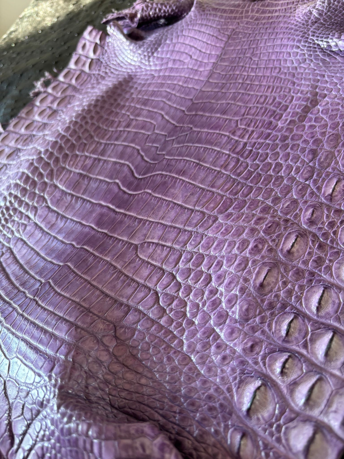 Full Moreletii Croc (Made to Order)