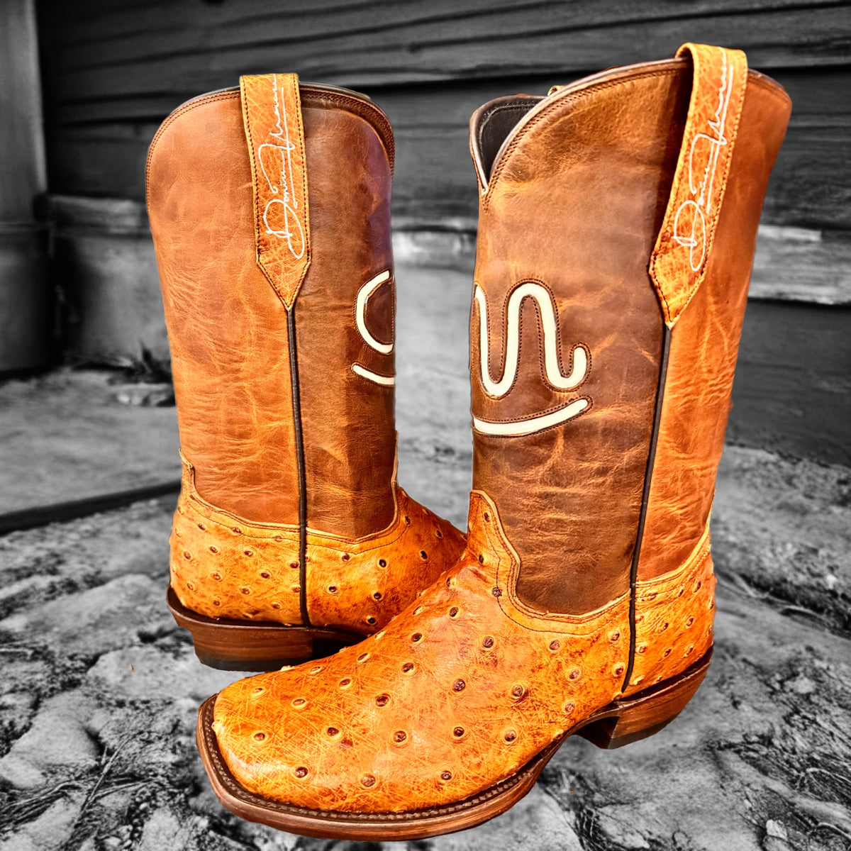 Donice Morace - Cognac Ostrich (Made to Order)
