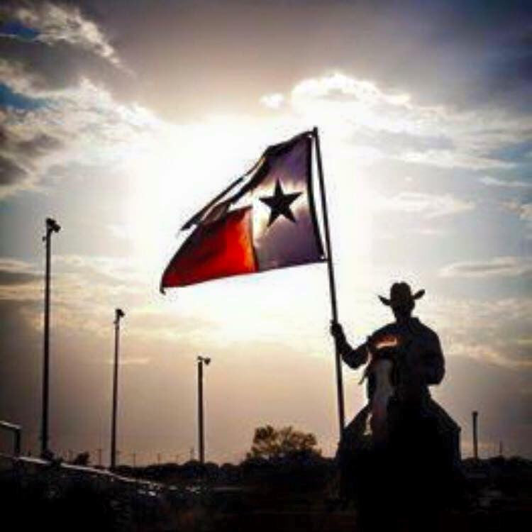 3x5 Poly - The Great Lone Star Texas Flag